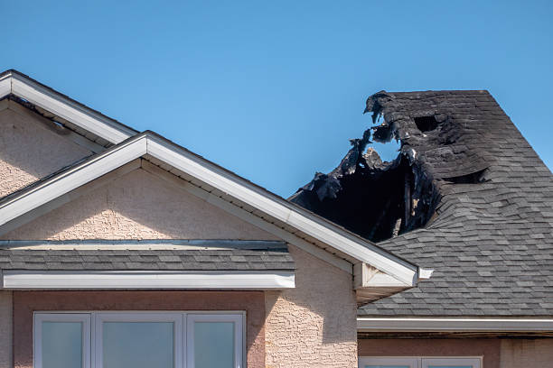 Licensed Fire Damage Removal service in Edgewater, NJ - Fire Damage Biloxi
